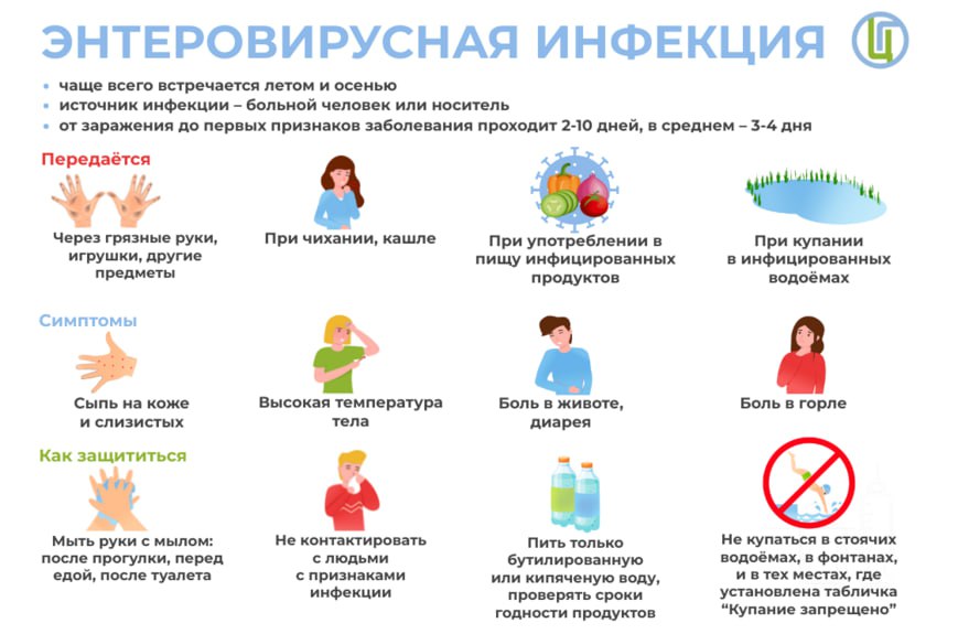 энтеровирус.jpg энтеровирус.jpg
